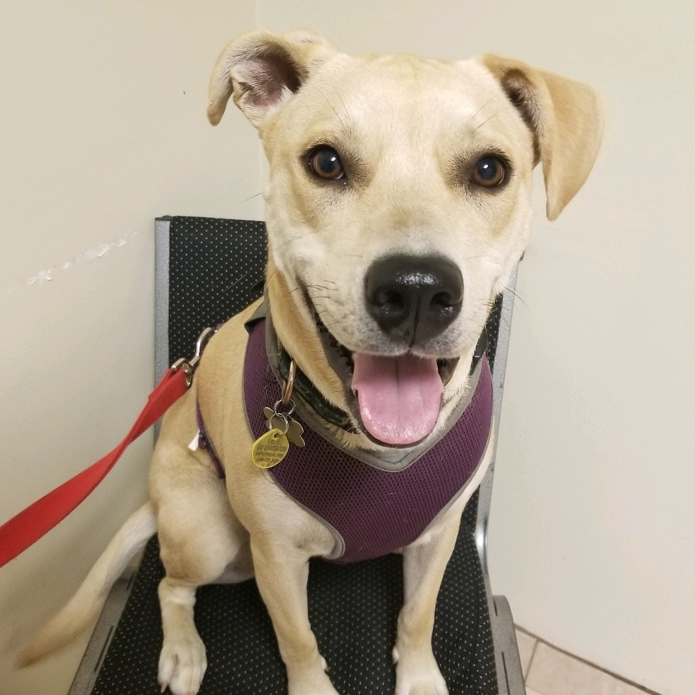 Meet your Posher, Max